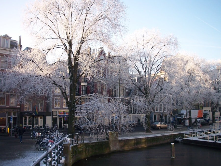 Bruges en hiver ambiance de Noël
Keyword: Bruges