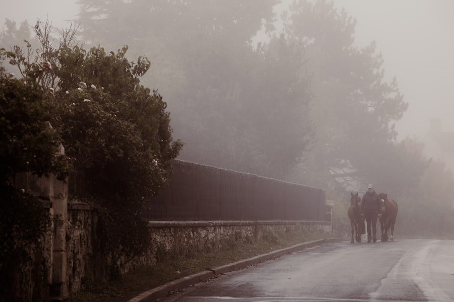 5-day itinerary Belgium with Ardennes