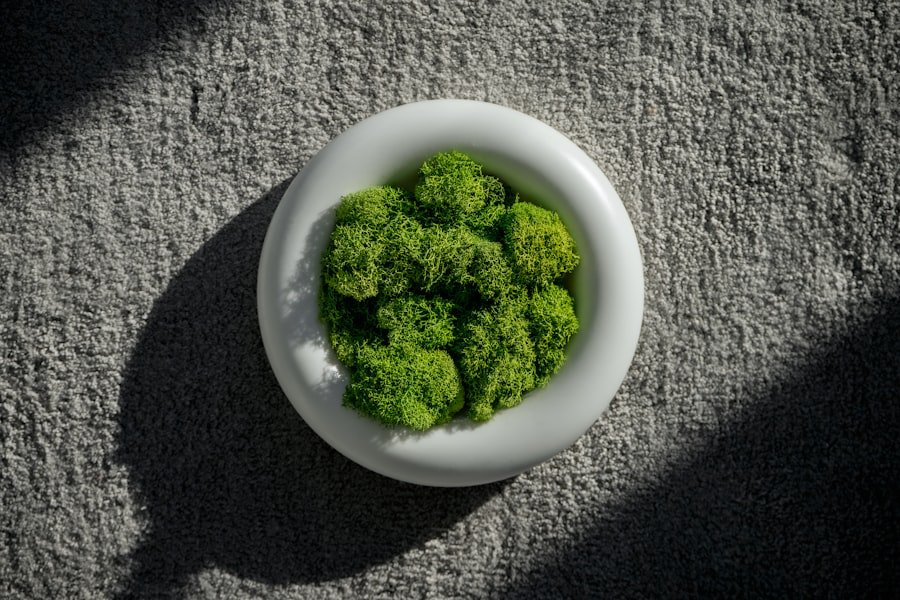 Photo cook broccoli