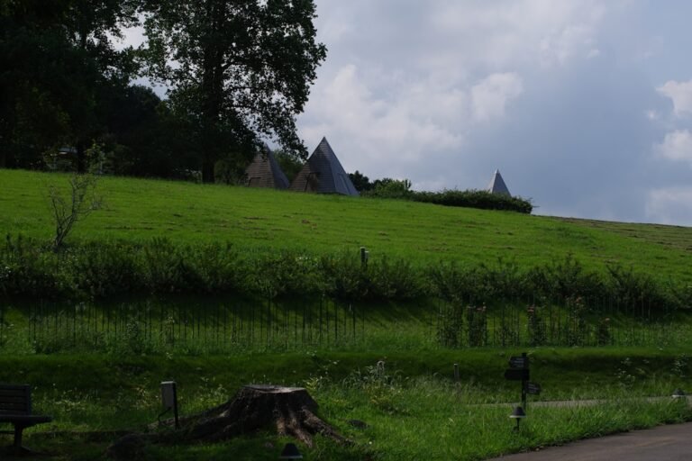 Photo Ardennes Belgians