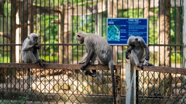 Photo zoo dAnvers visit