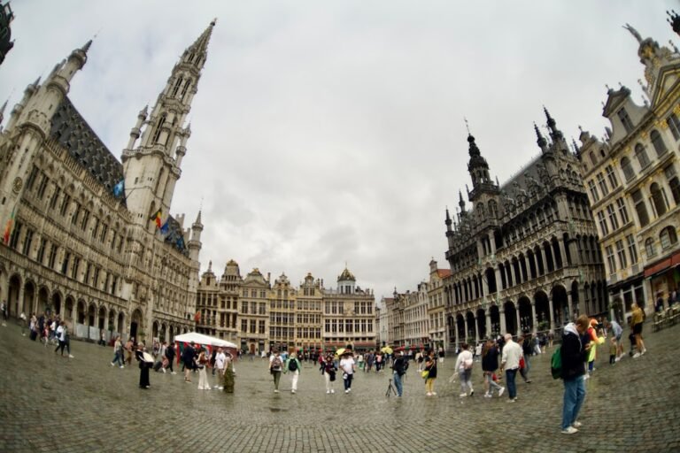 Photo guided tour Brussels French price