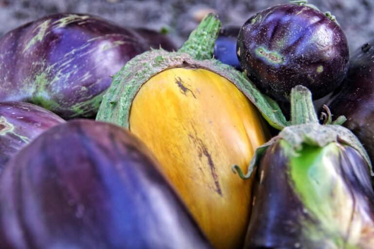 Photo cooking time eggplant