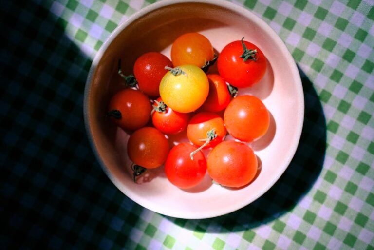 Photo cuisiner tomate