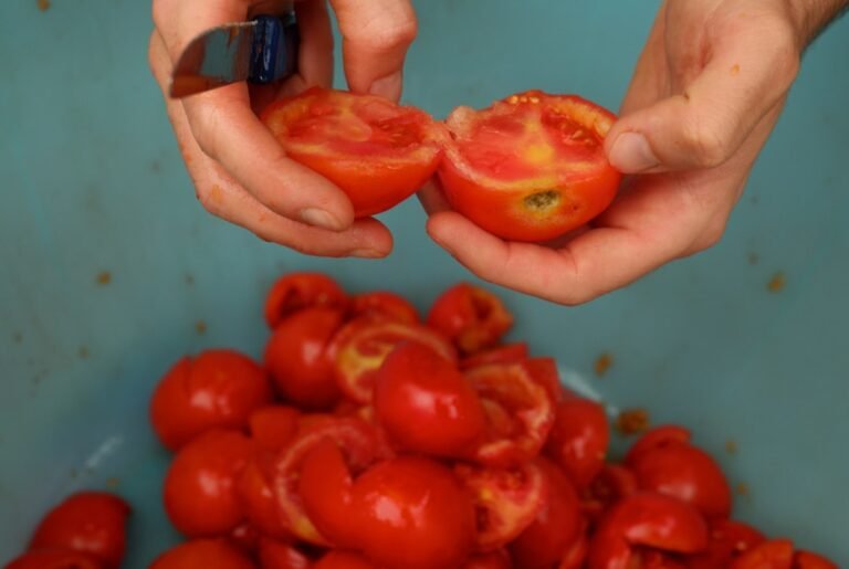Photo tomato benefits