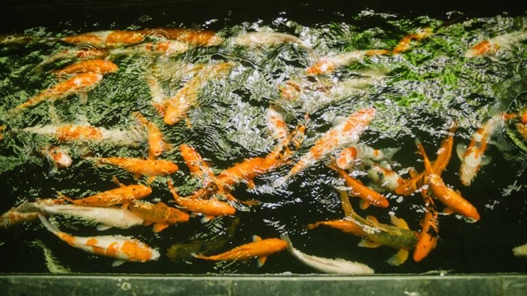 Photo cooking time spinach