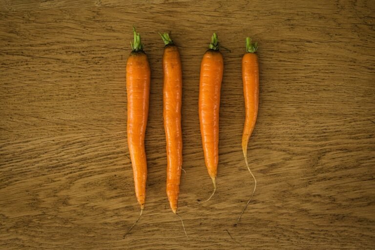 Photo cook carrot