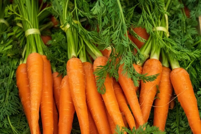 Photo carrot benefits