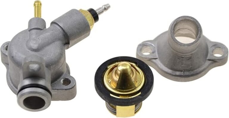 thermostat assembly replacement review